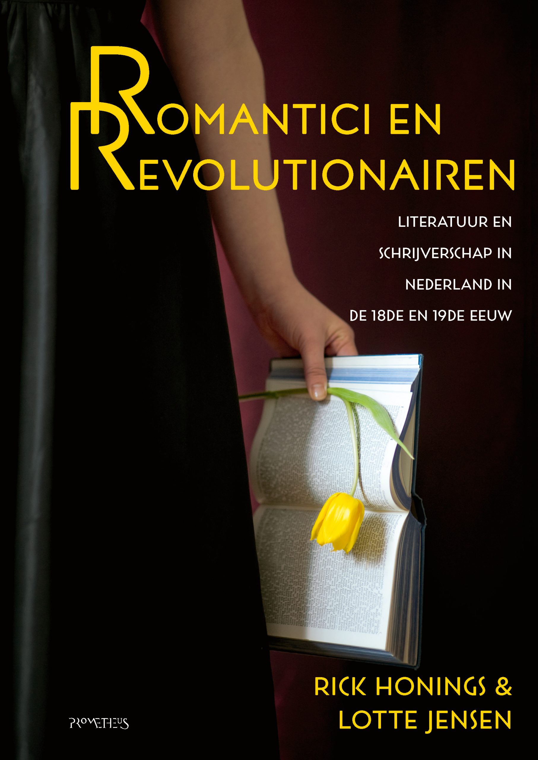Honings en Jensen - Romantici en revolutionairen - iBook