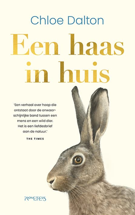 Een haas in huis verovert alle lijsten én onze harten!