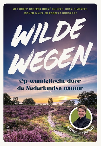 Wilde wegen