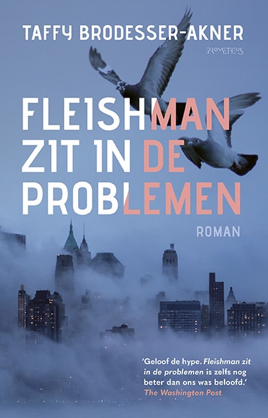 Fleishman zit in de problemen