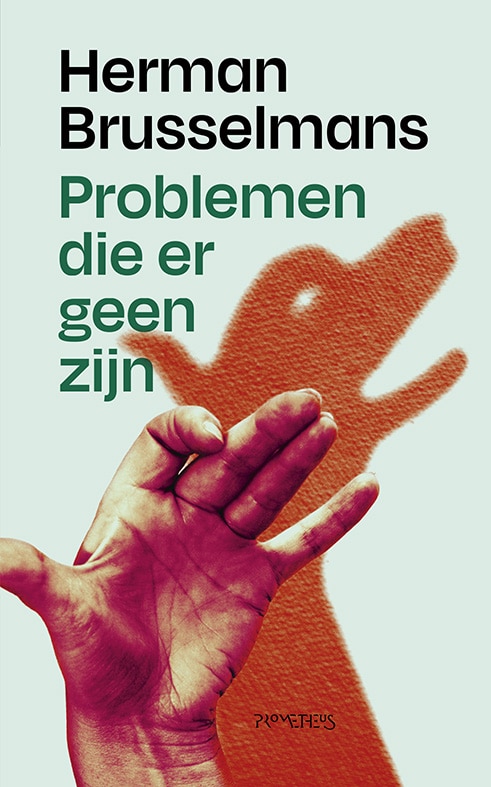 Problemen die er geen zijn