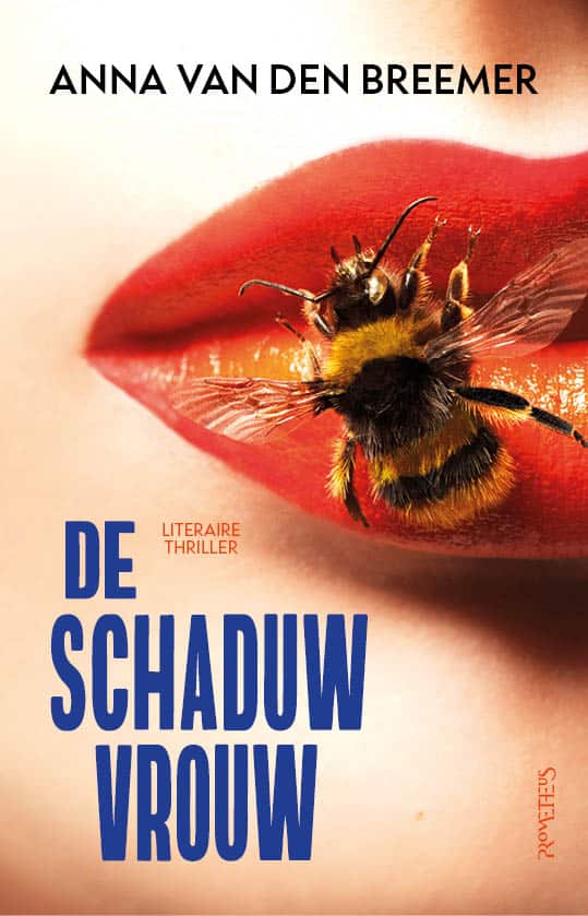 De Schaduwvrouw