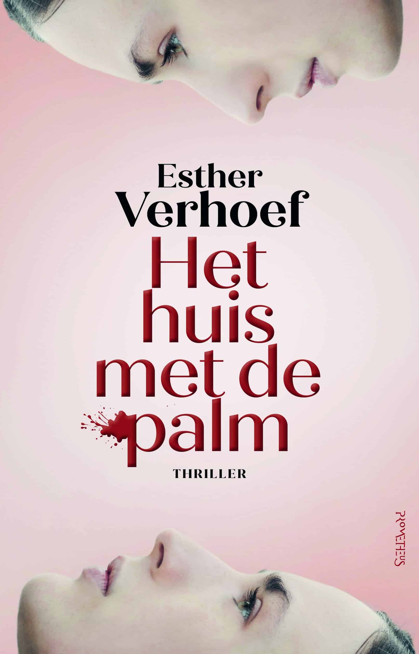 Het Huis met de palm