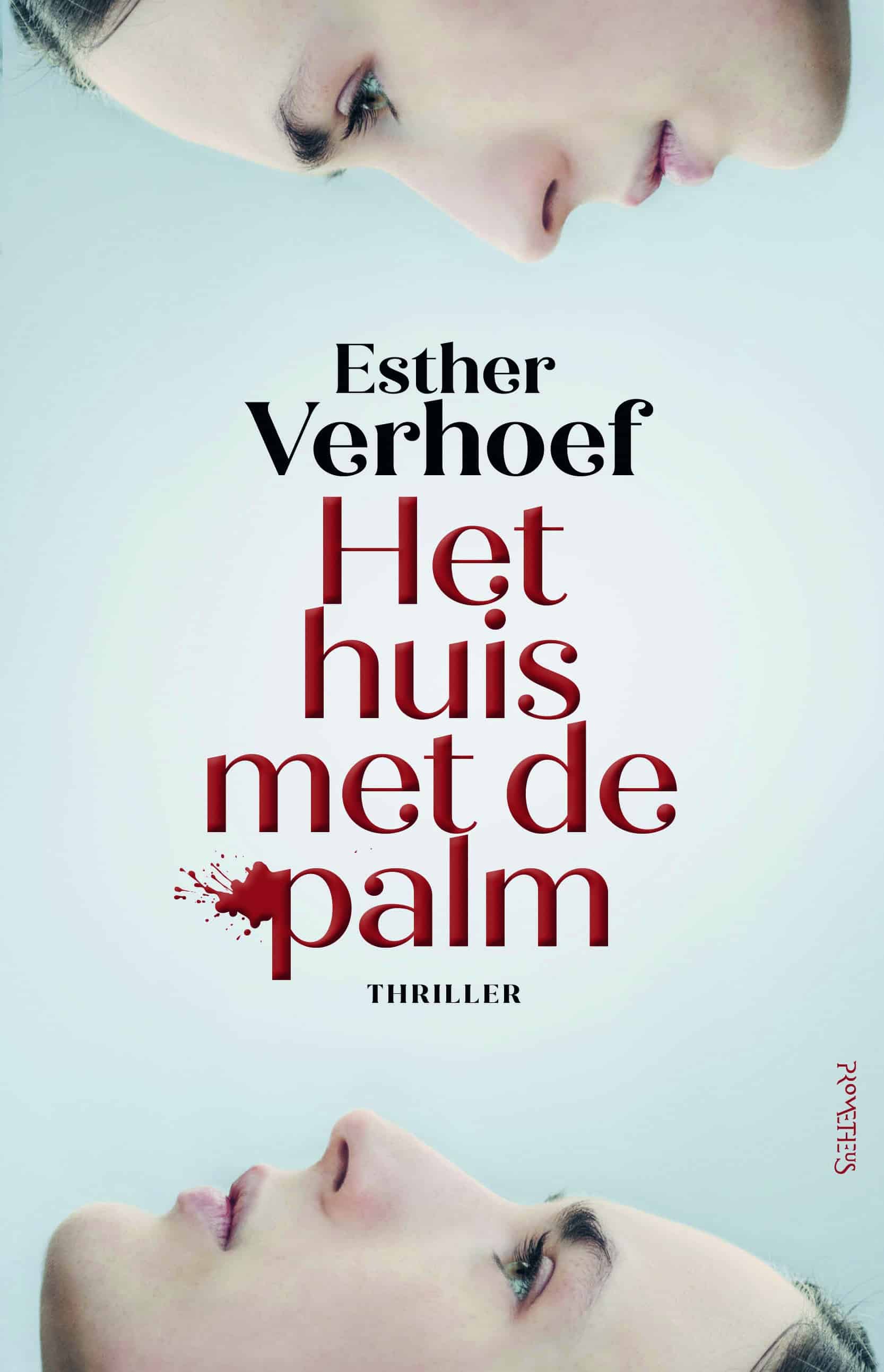 Het Huis met de palm