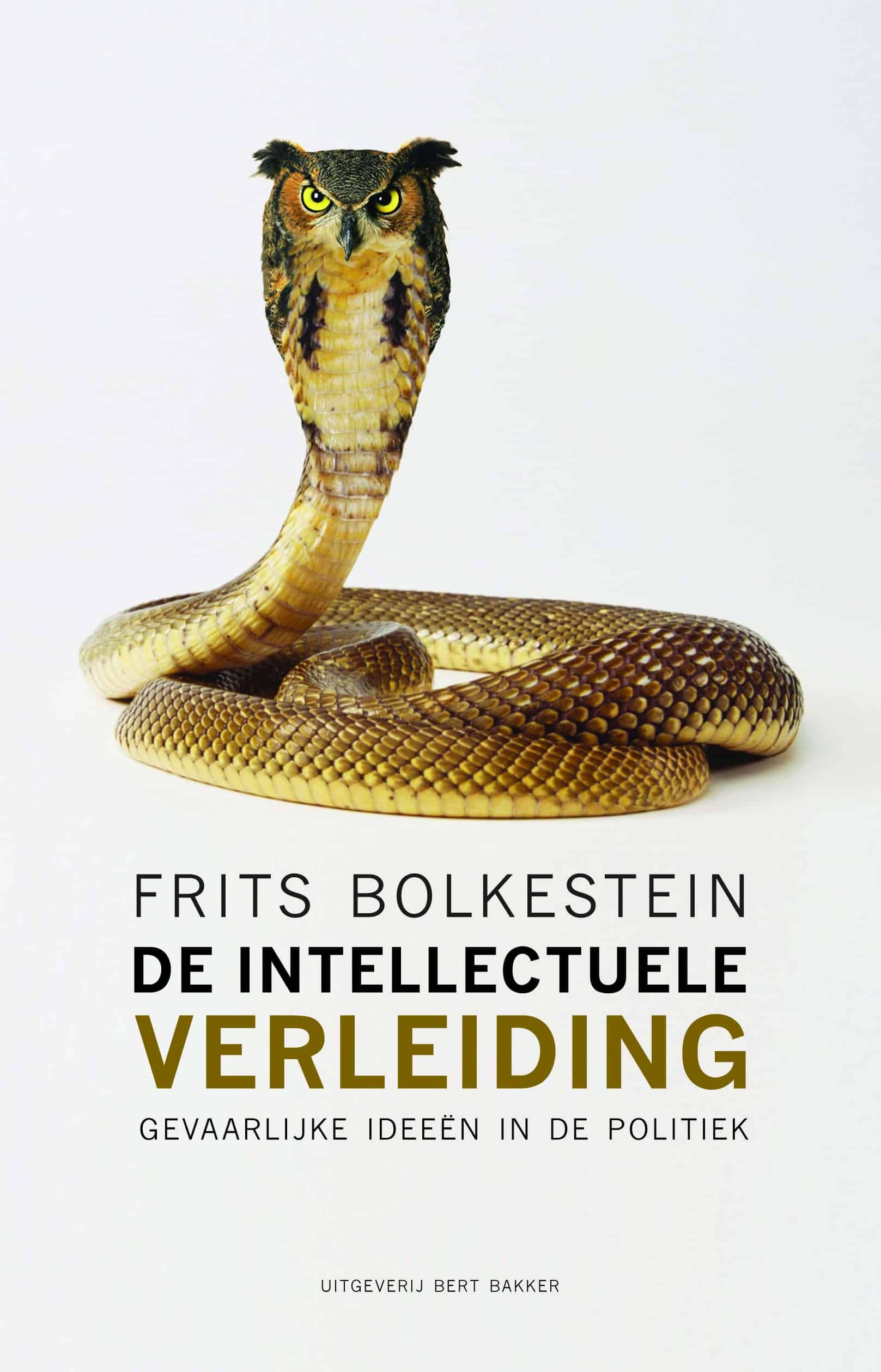 De Intellectuele verleiding