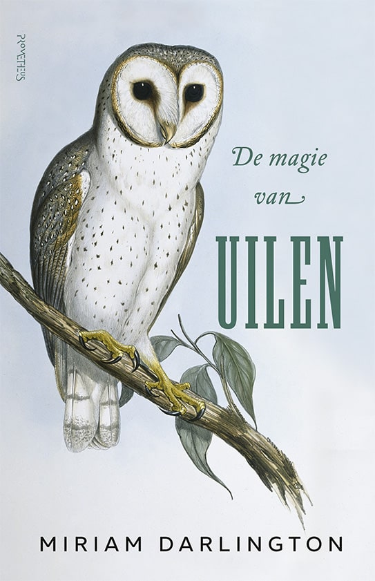 De Magie van uilen