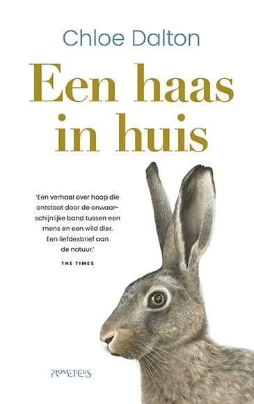 Een Haas in huis
