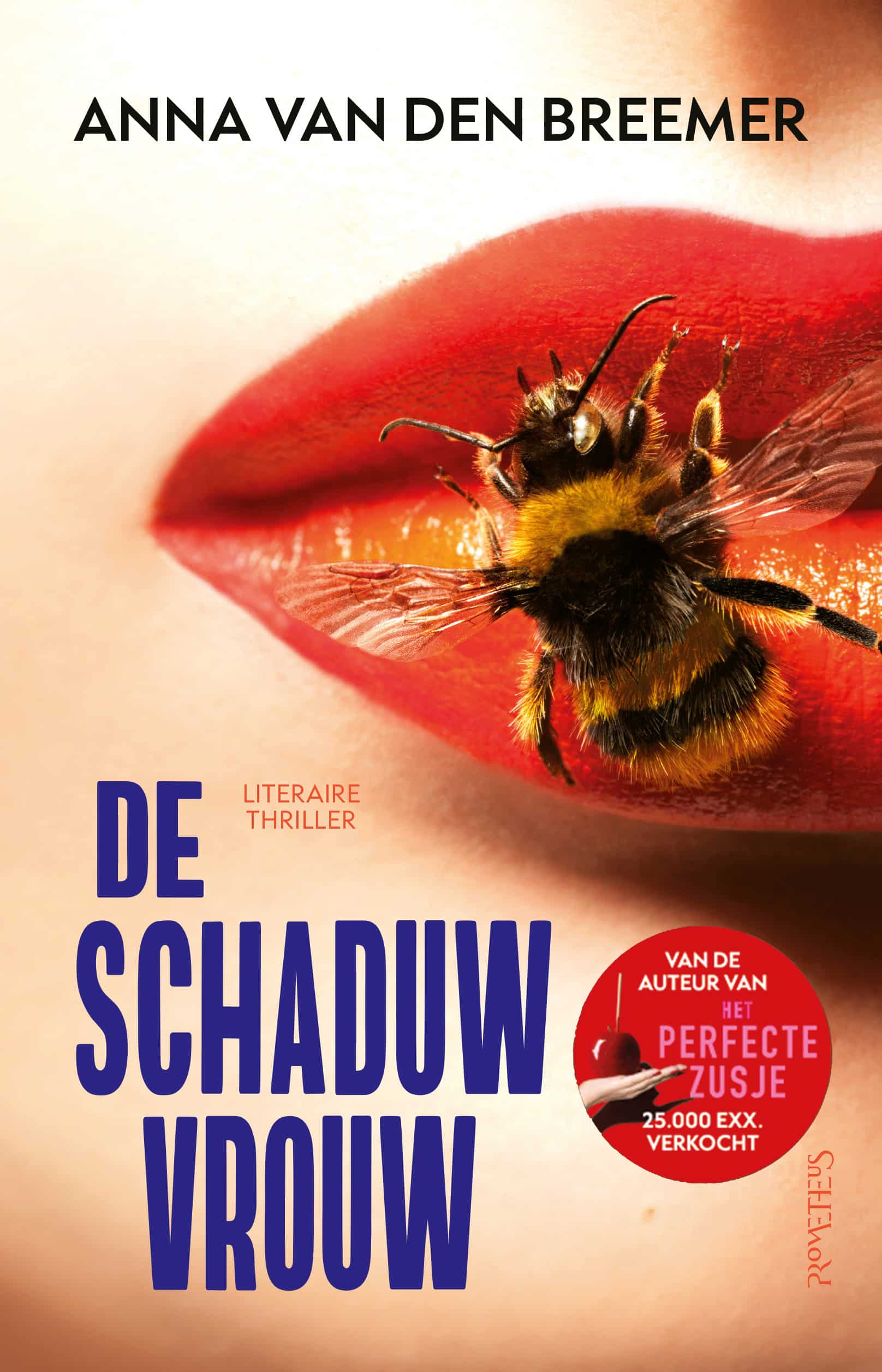 De Schaduwvrouw