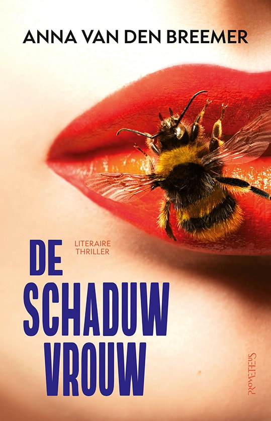 De Schaduwvrouw