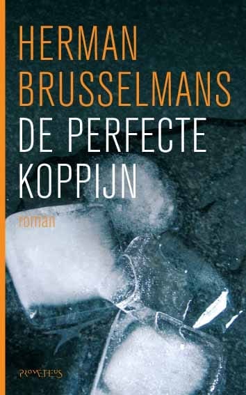 De Perfecte koppijn