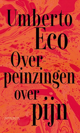 Overpeinzingen over pijn