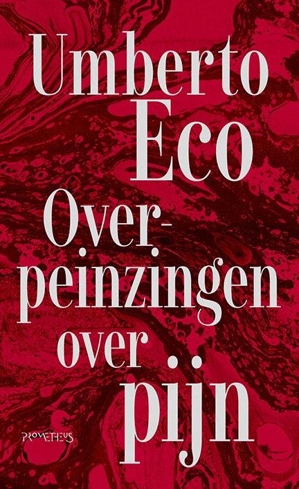 Overpeinzingen over pijn