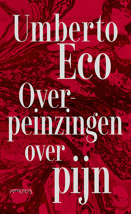 Overpeinzingen over pijn