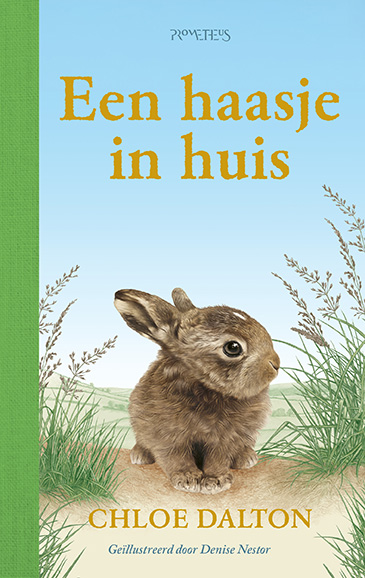 Een haasje in huis